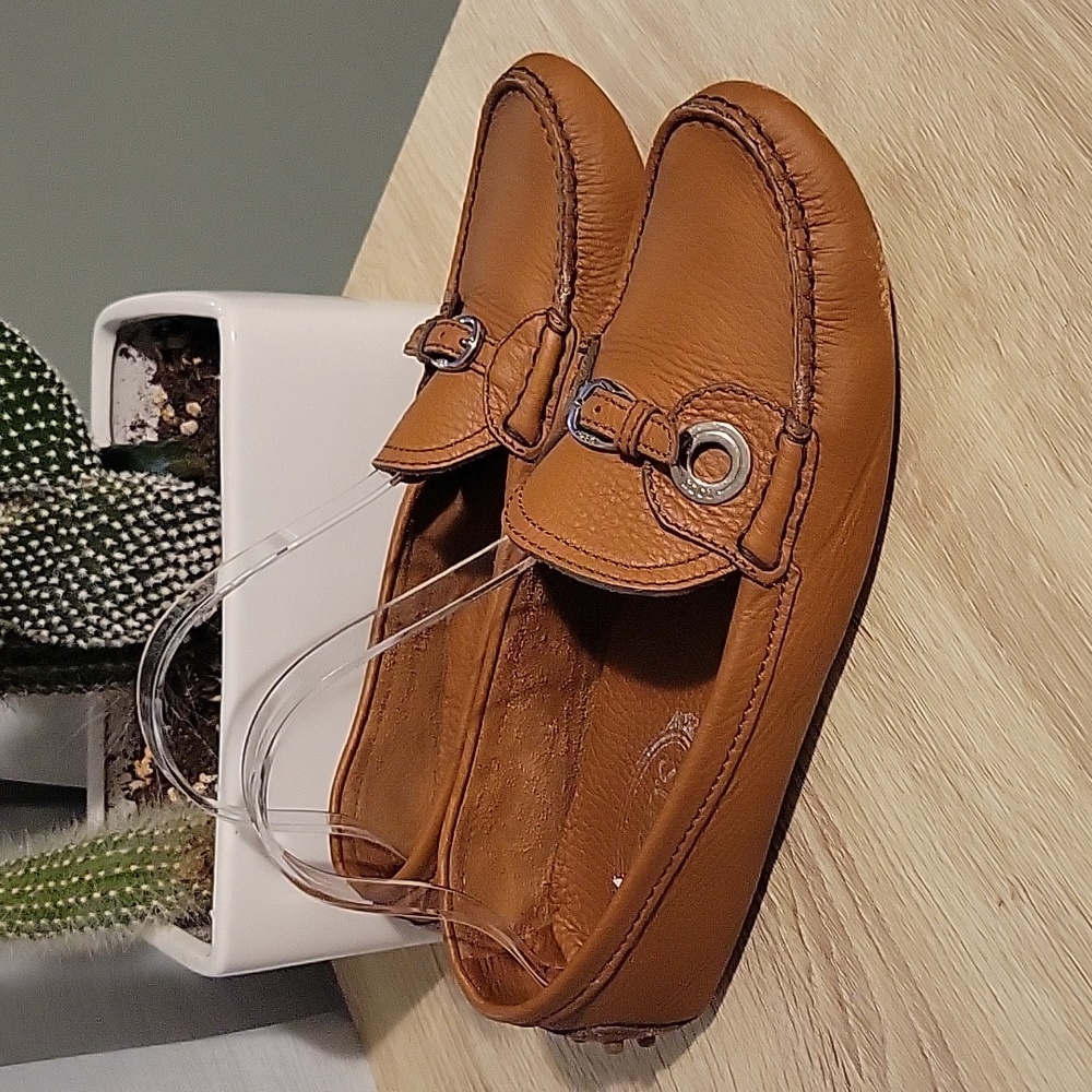 Tods Loafer Shoes/Gommino Driving Shoes
